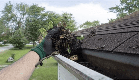Close-up of a gloved hand pulling a large clump of wet leaves, dirt, and plant debris out of a dirty residential roof gutter.