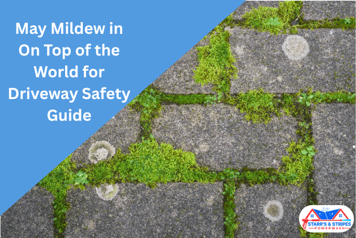 Close-up of green mildew and moss growing between stone driveway pavers, illustrating a slip hazard for a safety guide in On Top of the World, Ocala, FL.