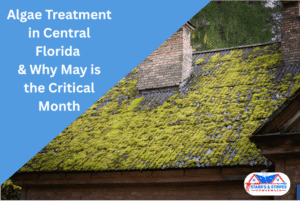 Severe green moss and algae growth on a residential roof shingles requiring professional soft wash cleaning services in Central Florida.